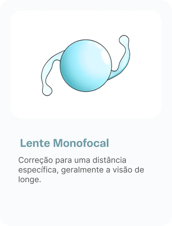 group_201lente 01